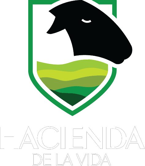 Hacienda De La Vida